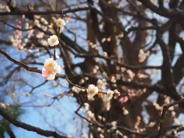 荏柄天神社(神奈川県)