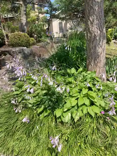 興全寺(神奈川県)