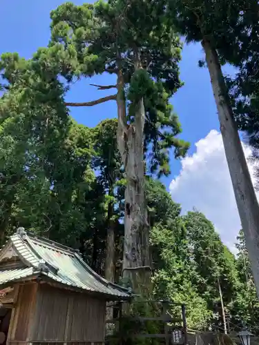 身延山奥之院思親閣(山梨県)