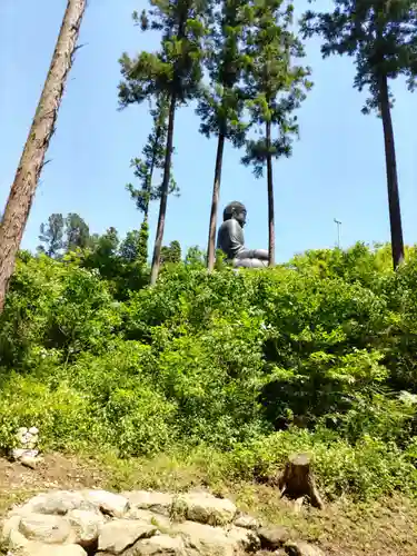 寳光寺　鹿野大佛の庭園
