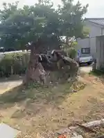 高徳院(千葉県)