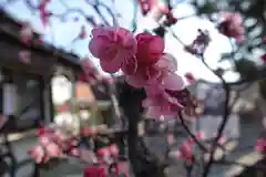 菅原天満宮（菅原神社）の自然