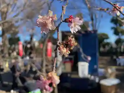 金剛院(東京都)