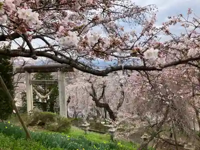 烏帽子山八幡宮(山形県)