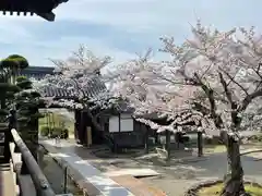 橘寺の建物その他