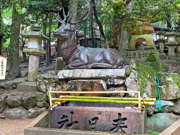 春日大社の手水舎