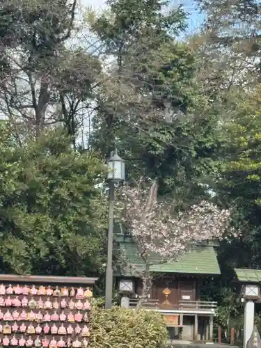 櫻木神社(千葉県)