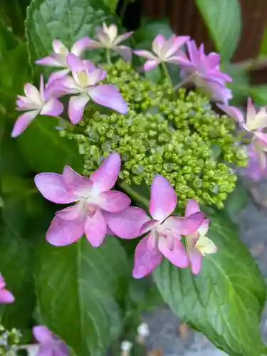 松尾大社の自然