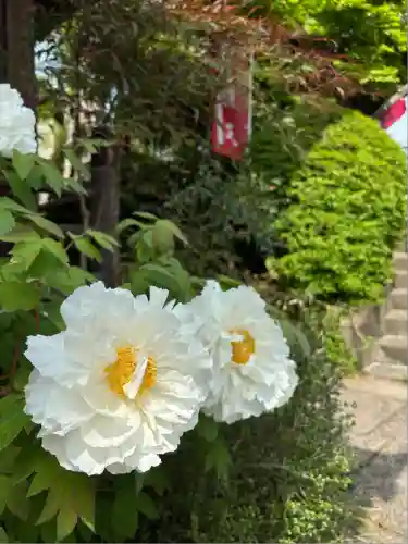 蟠龍寺(東京都)