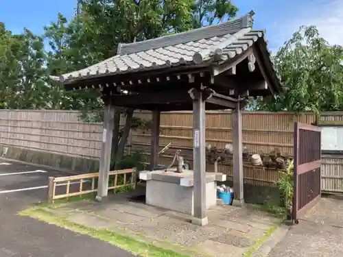 妙蓮寺の手水舎