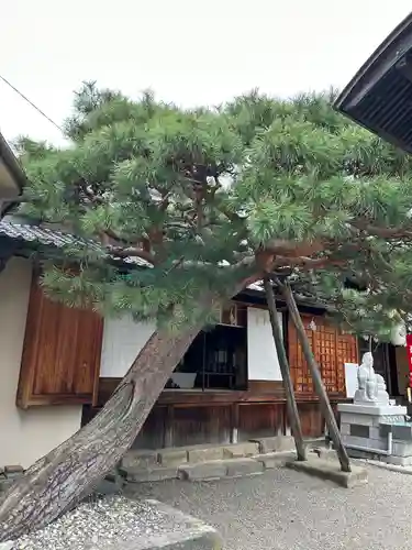 西宮神社の自然