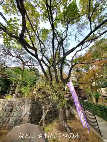 深大寺(東京都)