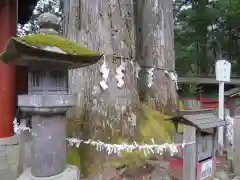 日光二荒山神社の自然