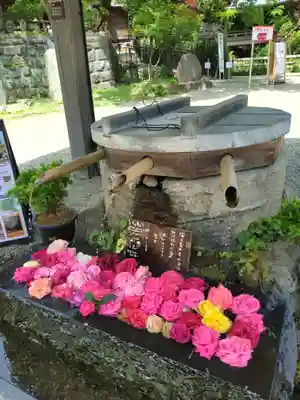 深大寺(東京都)