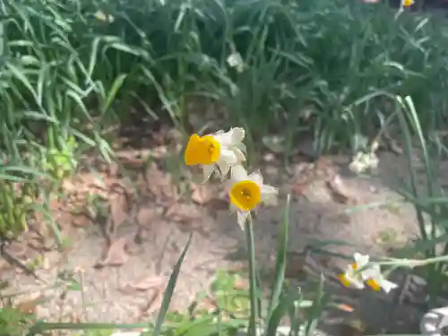 川邊八幡神社(大阪府)