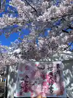 櫻岡大神宮の御朱印