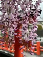 富士山本宮浅間大社(静岡県)