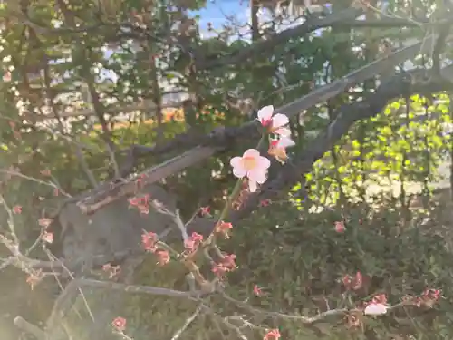 住吉大社の自然