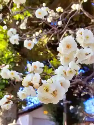 新井天神北野神社(東京都)