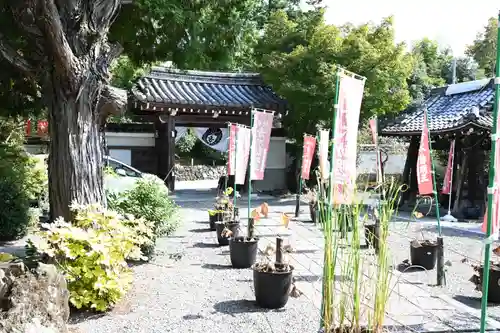 五大堂同聚院(京都府)