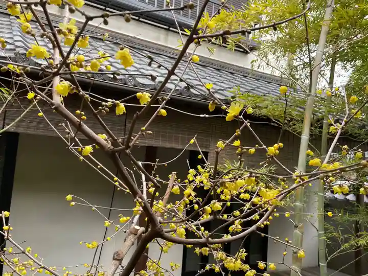 遠照山 光明寺(尼崎大仏)(兵庫県)