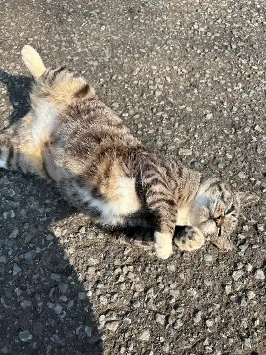 唐澤山神社(栃木県)