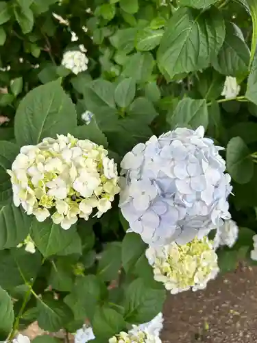 能護寺(埼玉県)