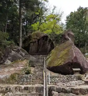 祖師野八幡宮の自然