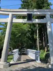 山宮浅間神社の鳥居