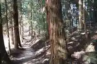 鹿島大神宮の自然