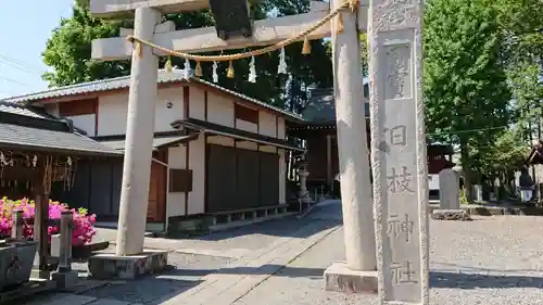 日枝神社の鳥居