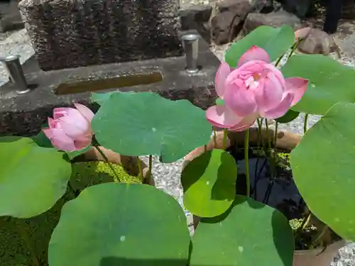 来迎寺(滋賀県)