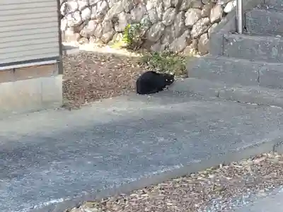 貴船神社(静岡県)