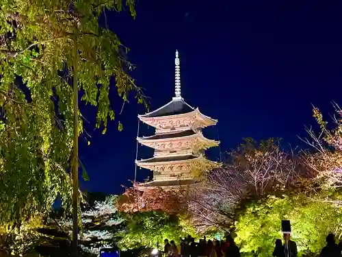 東寺（教王護国寺）(京都府)
