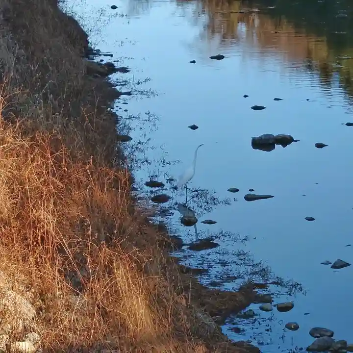 班渓寺の{uncategorized: "未分類", other: "その他", undefined: "問題あり", building: "その他建物", grave: "お墓", sacred_gate: "鳥居", guardian: "狛犬", statue: "像", buddha: "仏像", history: "歴史", nature: "自然", garden: "庭園", animal: "動物", pagoda: "塔", temizu: "手水舎", mountain_gate: "山門・神門", sanctuary: "本殿・本堂", subordinate: "末社・摂社", art: "芸術", scenery: "景色", jizo: "地蔵", ema: "絵馬", goshuin: "御朱印", omikuji: "おみくじ", items: "授与品その他", amulet: "お守り", goshuincho: "御朱印帳", eats: "食事", festival: "お祭り", votive_dance: "神楽", shichigosan: "七五三参", wedding: "結婚式", experience: "体験その他", initially: "初詣", around: "周辺", anti_infection: "感染症対策"}