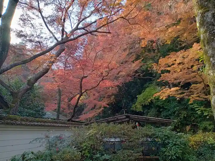 延命寺(大阪府)
