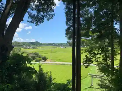 大宮神社の景色