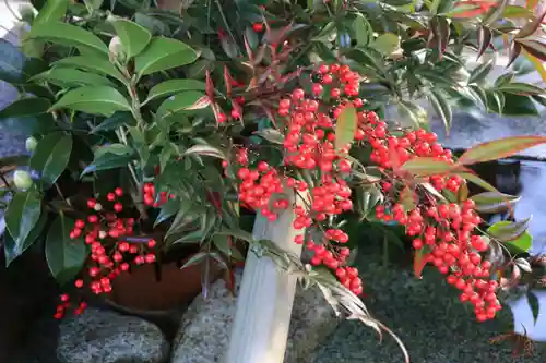 高司神社〜むすびの神の鎮まる社〜の手水