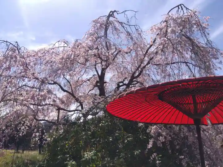 宝泉寺(京都府)