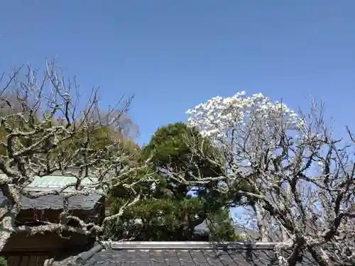 東慶寺(神奈川県)