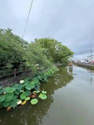 福島八幡宮の自然