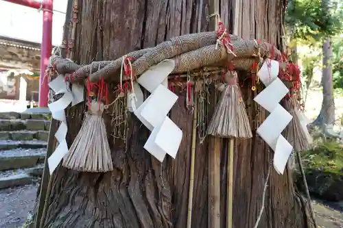 磐椅神社の自然