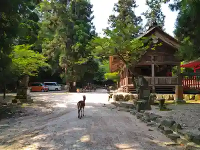 大元神社(厳島神社境外摂社)(広島県)