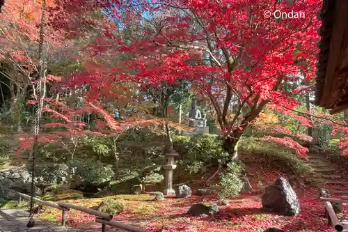 榮攝院（栄摂院）の自然