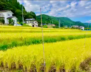 蚊里田八幡宮(長野県)(2024年11月23日(土) 09時45分22秒投稿)