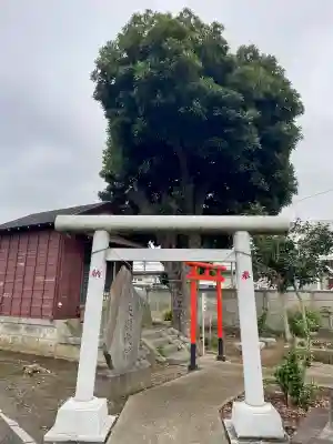 鎌ヶ谷八幡神社(千葉県)