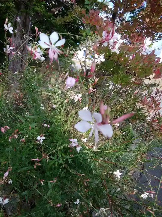 相馬妙見宮 大上川神社の自然