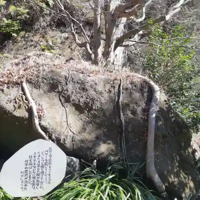 明月院(神奈川県)