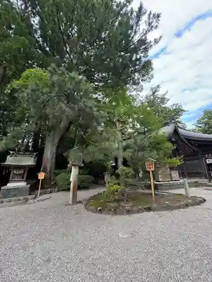 雄山神社前立社壇(富山県)