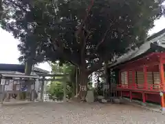 玉前神社(千葉県)